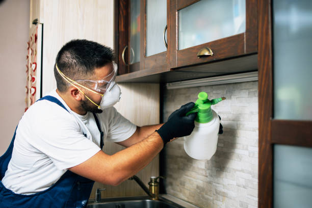 Best Pest Prevention Services  in Wolfhurst, OH