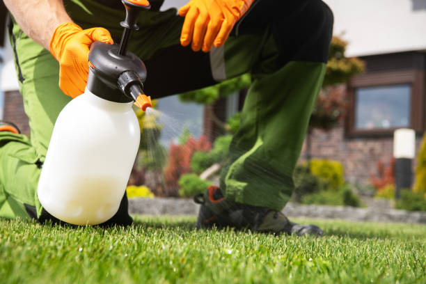 Best Best Pest Control Companies  in Wolfhurst, OH