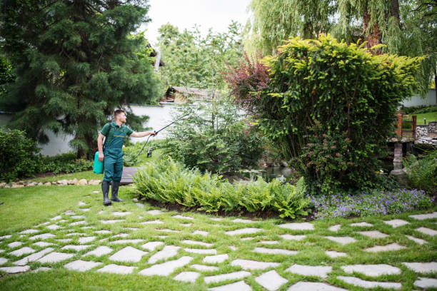 Best Local Pest Control Services  in Wolfhurst, OH