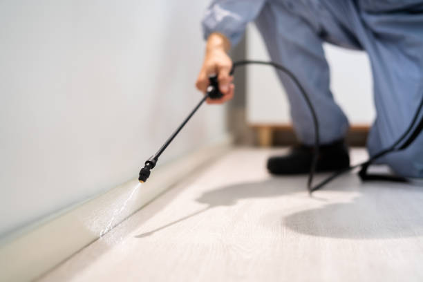 Best Wasp Removal Services  in Wolfhurst, OH