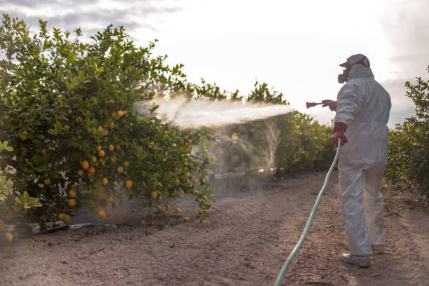 Best Emergency Pest Control  in Wolfhurst, OH