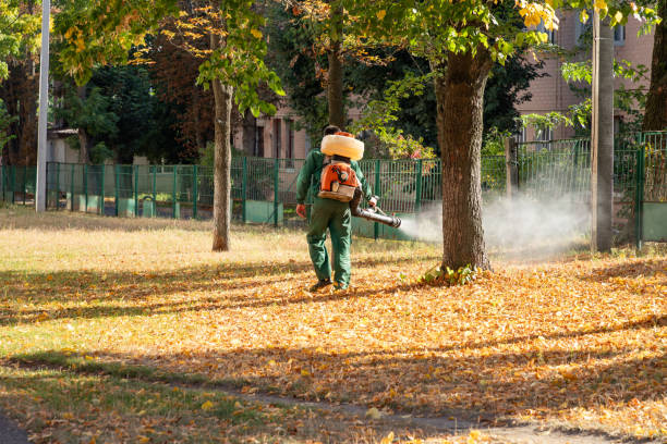 Best Bed Bug Extermination  in Wolfhurst, OH