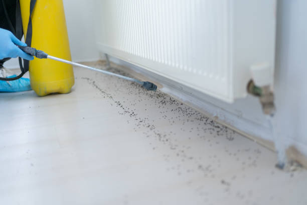 Best Wildlife Control Services  in Wolfhurst, OH