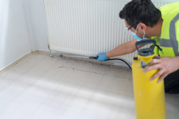 Best Termite Control Services  in Wolfhurst, OH
