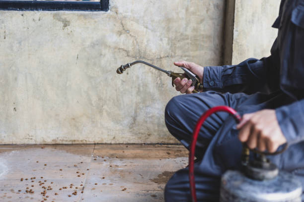 Best Affordable Pest Control Services  in Wolfhurst, OH