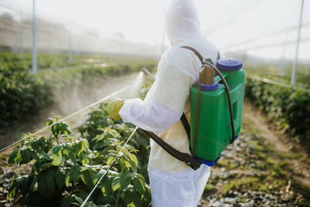 Best Pest Inspection Near Me  in Wolfhurst, OH